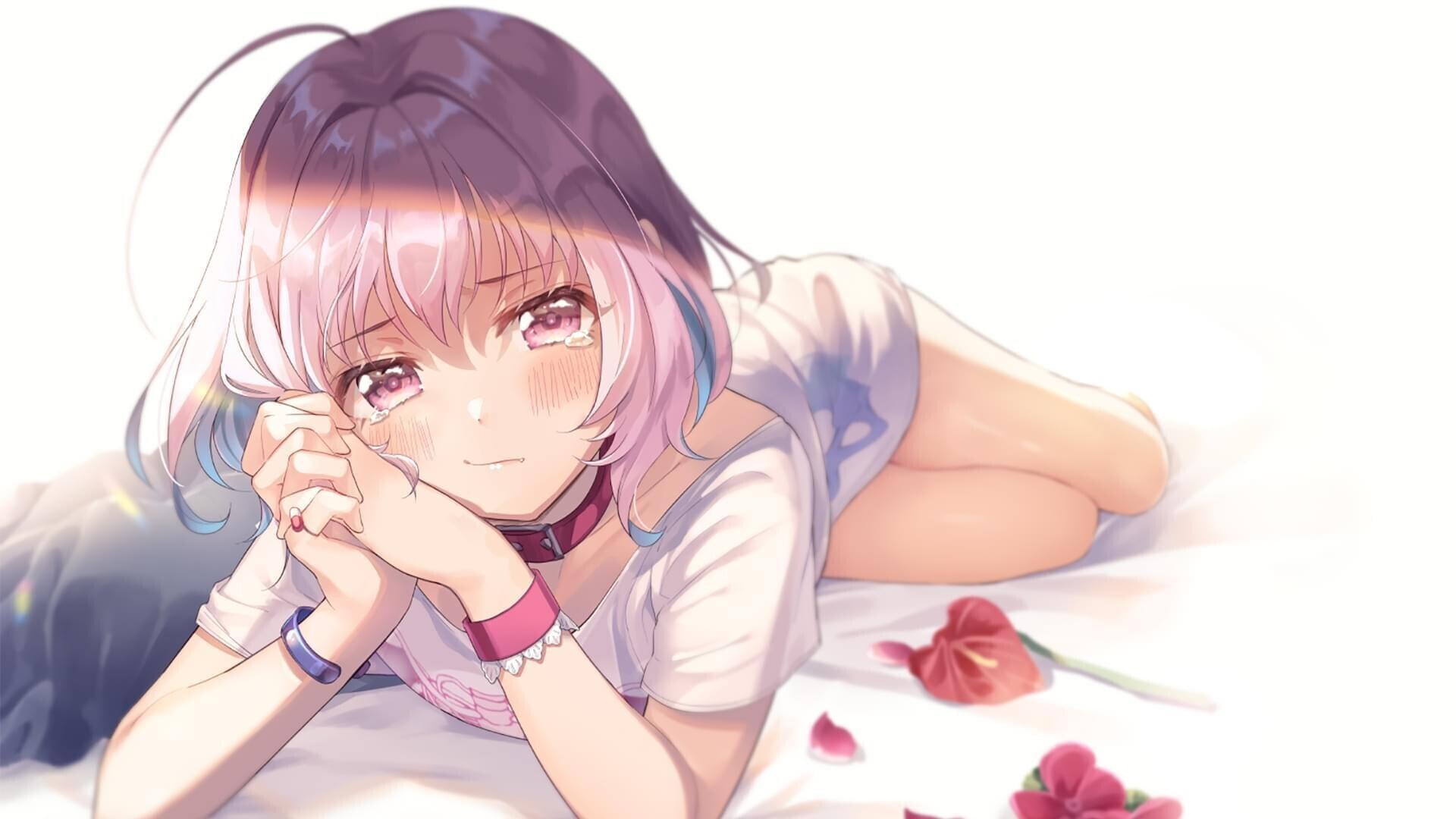 『Sakura主题美化#07』Sakura主题增加页面特效