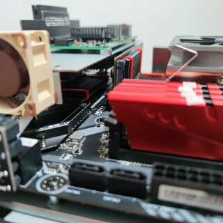 BDXn