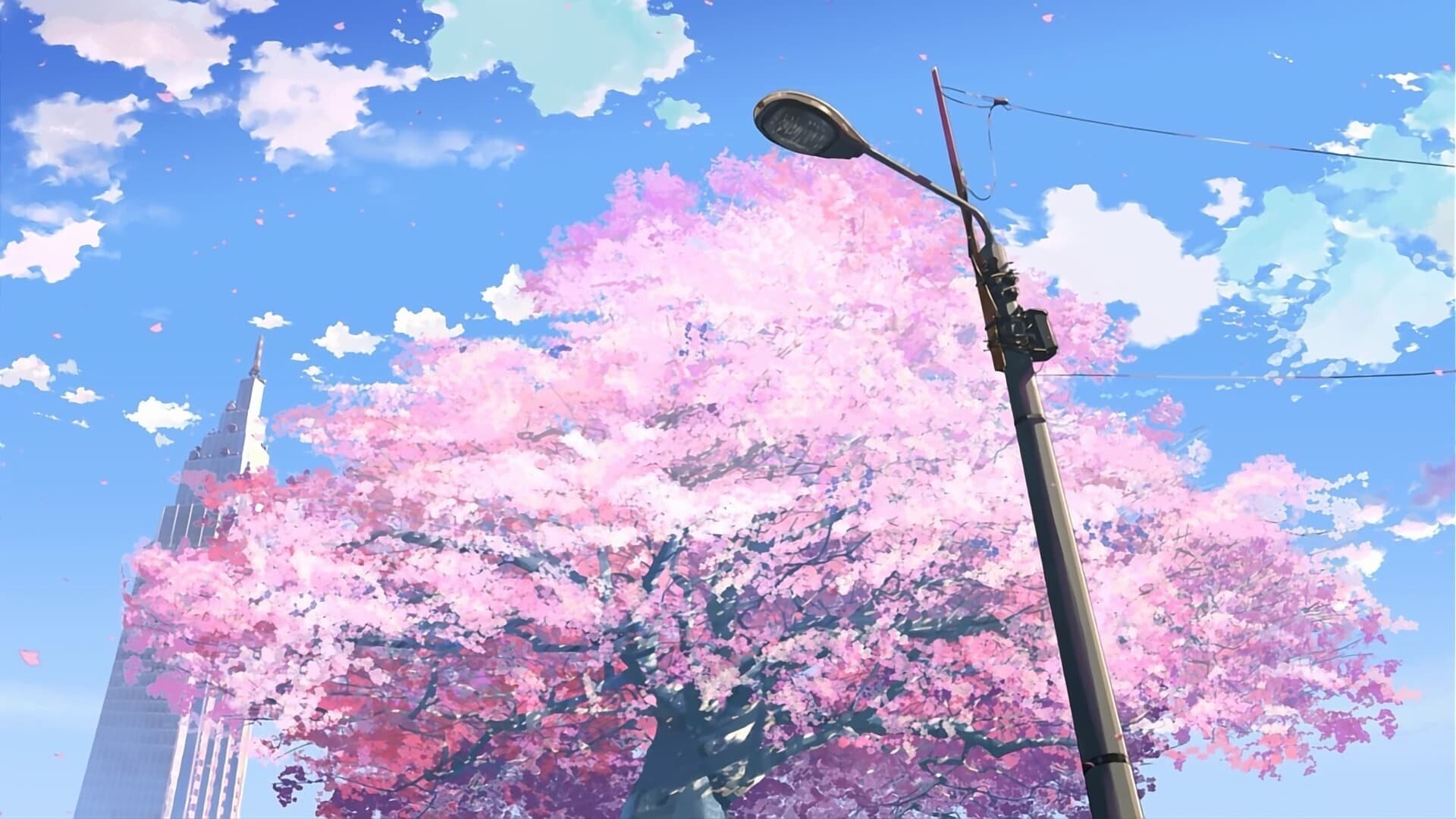 『Sakura主题美化#06』Sakura主题细节调整