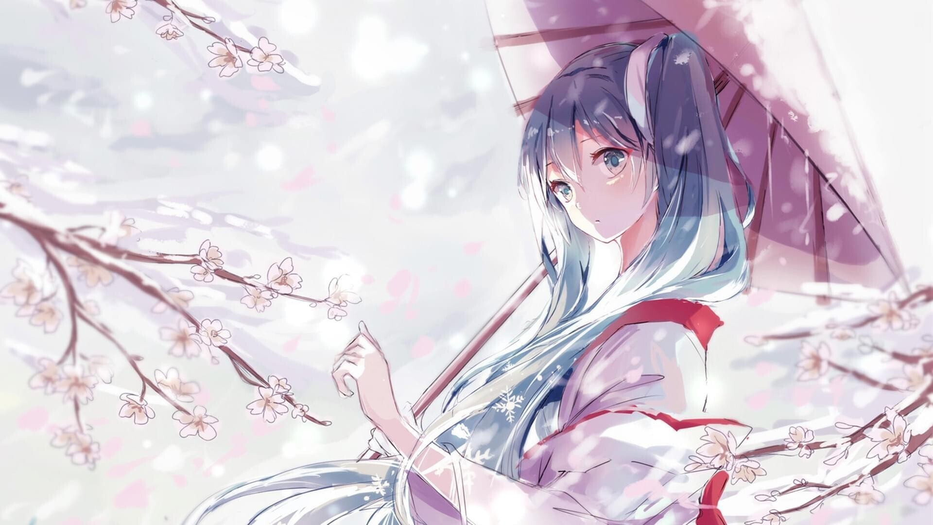 『Sakura主题美化#08』Sakura主题文章列表视觉优化